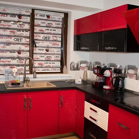 Апартаменты Apartament Valcea Рымнику-Вылча Экстерьер фото